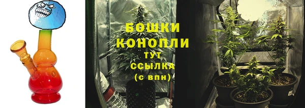 дмт Верея